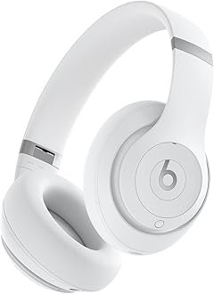 Beats Flex
