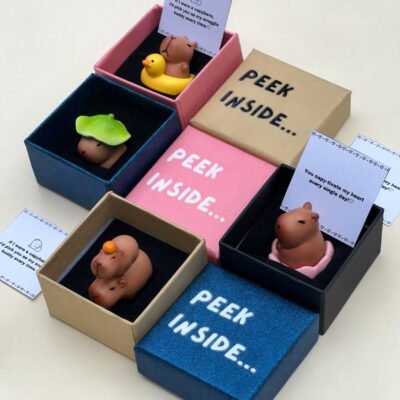 Capybara Figurine Gift Box, Pocket Hug, Friendship Gift, I Love You gift, Long distance Relationship