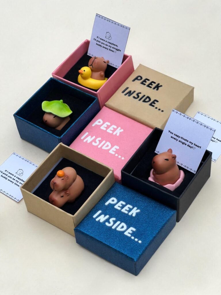 Capybara Figurine Gift Box, Pocket Hug, Friendship Gift, I Love You gift, Long distance Relationship