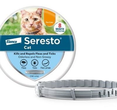Seresto Cat Vet-Recommended Flea & Tick Treatment & Prevention Collar for Cats | 8 Months Protection