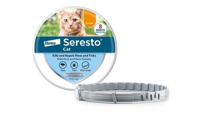 Seresto Cat Vet-Recommended Flea & Tick Treatment & Prevention Collar for Cats | 8 Months Protection