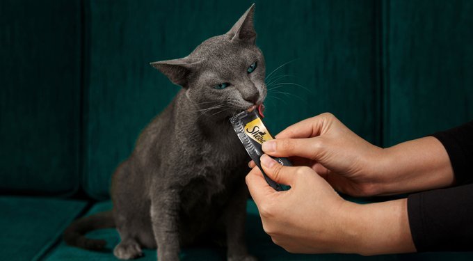 Sheba Premium Puree Variety Pack Chicken, Salmon & Tuna Flavor Grain-Free Lickable Cat Treats, 0.49-oz tube, 24 count