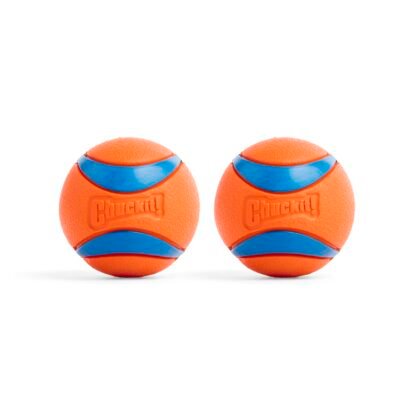 Chuckit! Ultra Ball Dog Toy