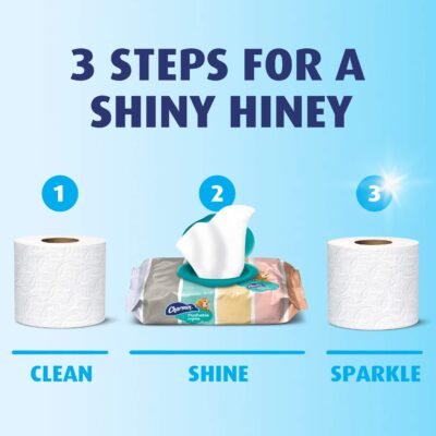Charmin Flushable Wipes